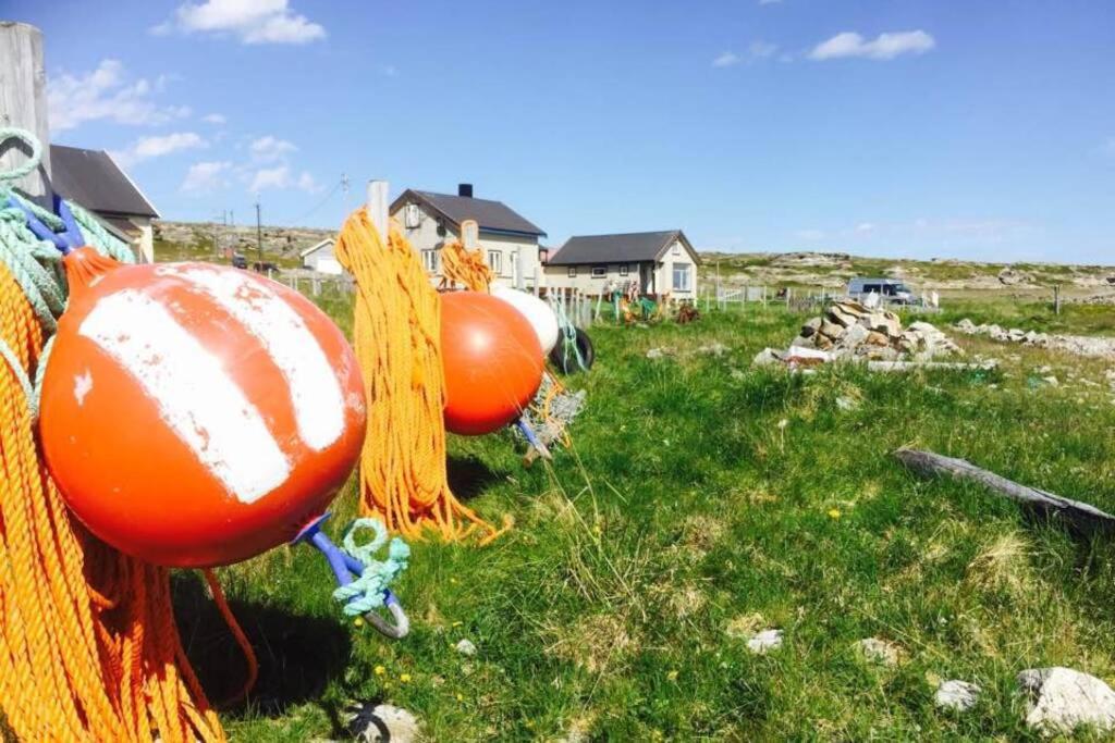Arctic House By The Sea, Vadso, Varanger Eksteriør billede